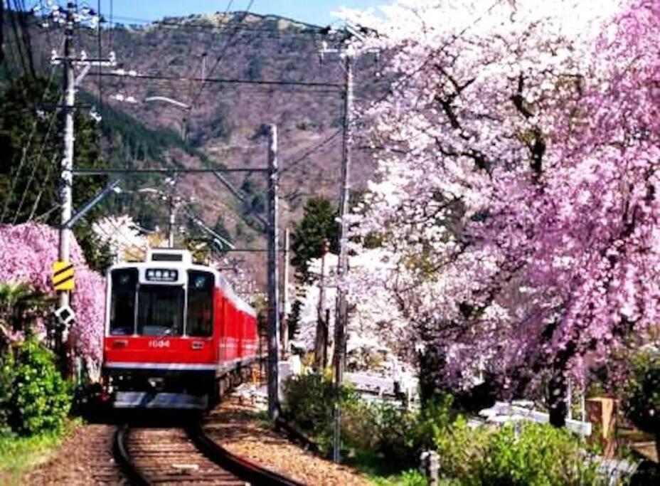 Forest Villa Hakone Zewnętrze zdjęcie